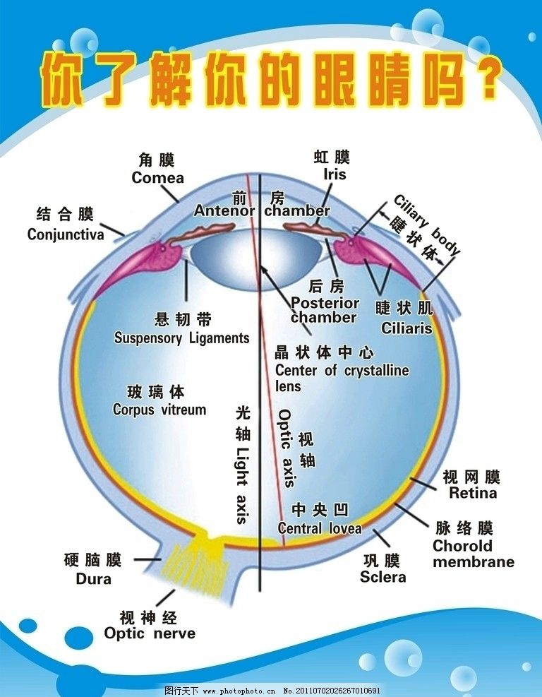 怎么向村上申请创业基金